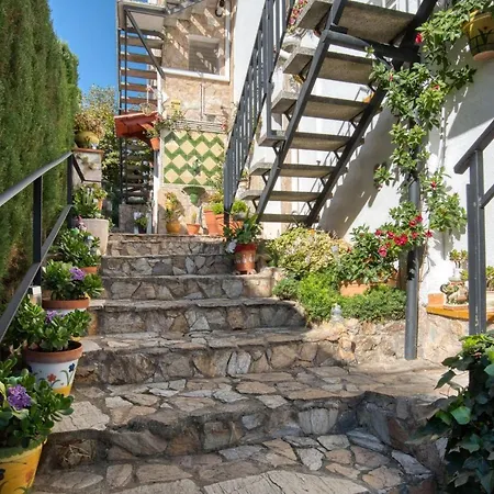 Ingrid Tu Oasis De Luz Y Silencio Appartement