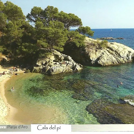 Ingrid Tu Oasis De Luz Y Silencio Castell-Platja d'Aro