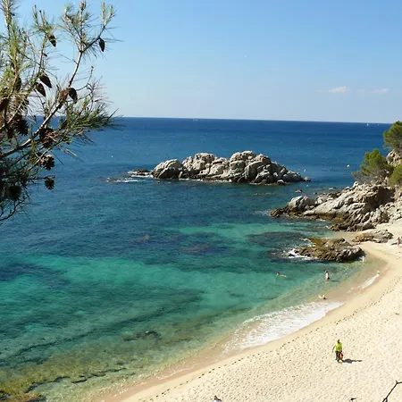 Ingrid Tu Oasis De Luz Y Silencio