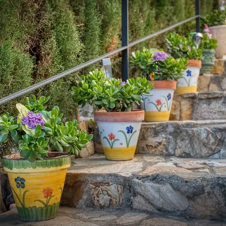 Апартаменти Ingrid Tu Oasis De Luz Y Silencio *