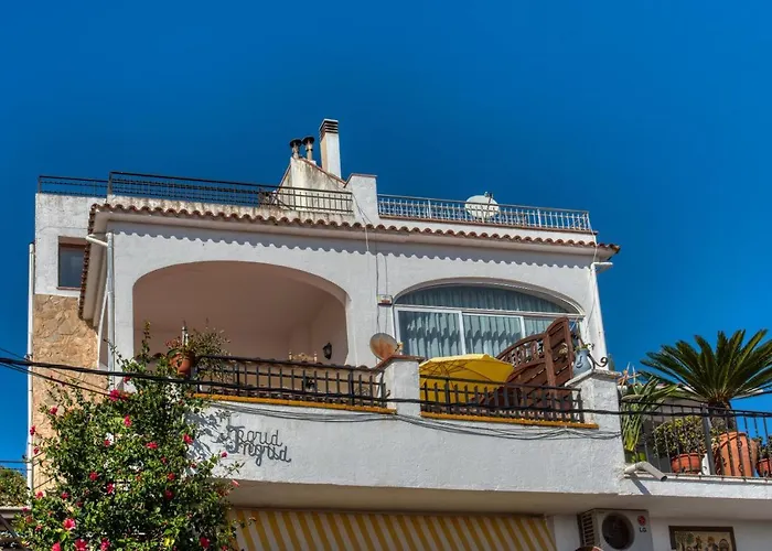 Ingrid Tu Oasis De Luz Y Silencio