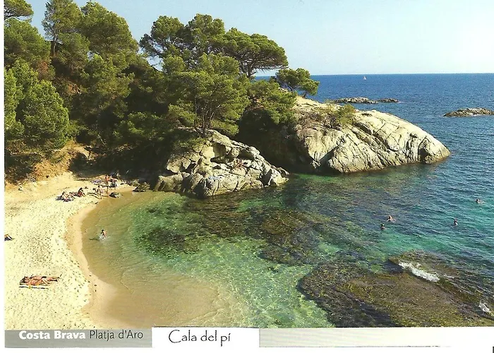 Ingrid Tu Oasis De Luz Y Silencio 플라티야 다로