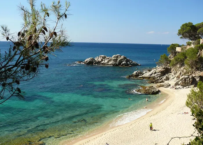 Ingrid Tu Oasis De Luz Y Silencio